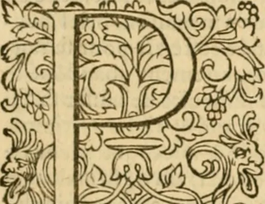 An illustration from Commentaires sur toutes les epistres de l'apostre S. Paul, et aussi sur l'epistre aux Hebrieux : item, sur les epistres canoniques de S. Pierre, S. Iehan, S. Iaques, et S. Iude .., 1561, leaf 196