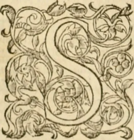An illustration from Commentaires sur toutes les epistres de l'apostre S. Paul, et aussi sur l'epistre aux Hebrieux : item, sur les epistres canoniques de S. Pierre, S. Iehan, S. Iaques, et S. Iude .., 1561, leaf 377