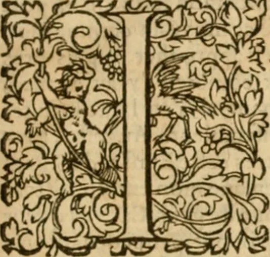 An illustration from Commentaires sur toutes les epistres de l'apostre S. Paul, et aussi sur l'epistre aux Hebrieux : item, sur les epistres canoniques de S. Pierre, S. Iehan, S. Iaques, et S. Iude .., 1561, leaf 6