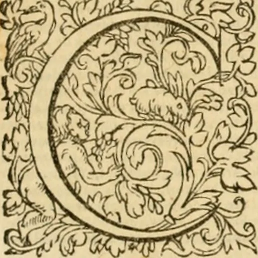 An illustration from Commentaires sur toutes les epistres de l'apostre S. Paul, et aussi sur l'epistre aux Hebrieux : item, sur les epistres canoniques de S. Pierre, S. Iehan, S. Iaques, et S. Iude .., 1561, leaf 680