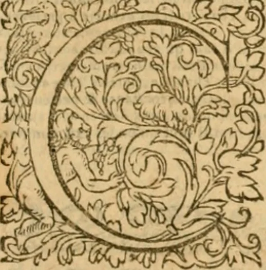 An illustration from Commentaires sur toutes les epistres de l'apostre S. Paul, et aussi sur l'epistre aux Hebrieux : item, sur les epistres canoniques de S. Pierre, S. Iehan, S. Iaques, et S. Iude .., 1561, leaf 708