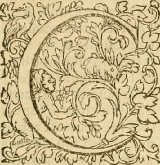 An illustration from Commentaires sur toutes les epistres de l'apostre S. Paul, et aussi sur l'epistre aux Hebrieux : item, sur les epistres canoniques de S. Pierre, S. Iehan, S. Iaques, et S. Iude .., 1561, leaf 730