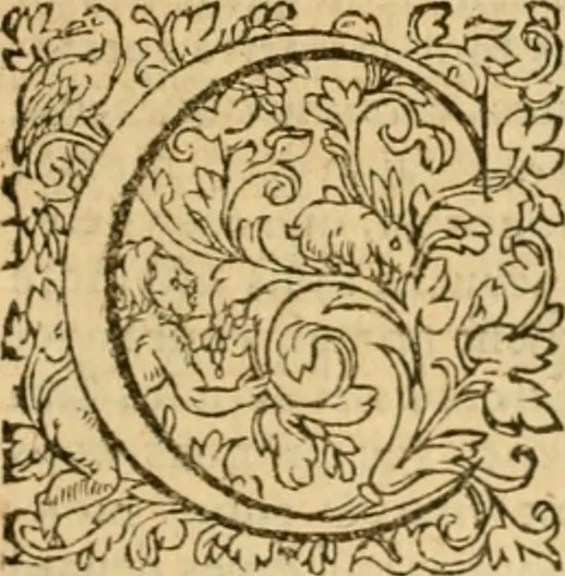 An illustration from Commentaires sur toutes les epistres de l'apostre S. Paul, et aussi sur l'epistre aux Hebrieux : item, sur les epistres canoniques de S. Pierre, S. Iehan, S. Iaques, et S. Iude .., 1561, leaf 820