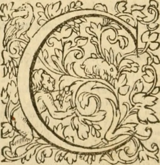 An illustration from Commentaires sur toutes les epistres de l'apostre S. Paul, et aussi sur l'epistre aux Hebrieux : item, sur les epistres canoniques de S. Pierre, S. Iehan, S. Iaques, et S. Iude .., 1561, leaf 849