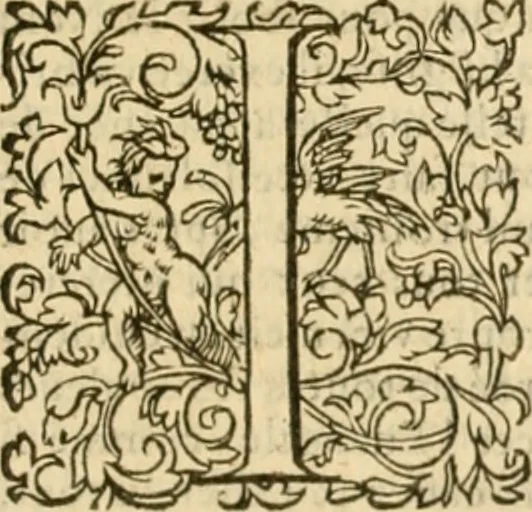 An illustration from Commentaires sur toutes les epistres de l'apostre S. Paul, et aussi sur l'epistre aux Hebrieux : item, sur les epistres canoniques de S. Pierre, S. Iehan, S. Iaques, et S. Iude .., 1561, leaf 980