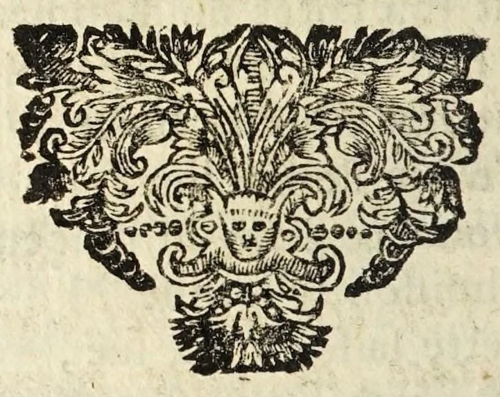 An illustration from Commentaire sur l'Ecole de Salerne : contenant les moyens de se passer de medecin & de vivre long-temps en santé, avec une infinité de remedes contre toutes sortes de maladies, & un traité des humeurs, & de la saignée, où sont adjoûtez la sanguification, circulation et transfusion du sang, la poudre & l'onguent de simpathie, le thé, le caphé, le chocolate, l'ouromantie, scatomantie et hydromantie ec., 1672, leaf 652