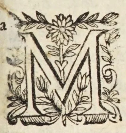 An illustration from Commentaire sur l'Ecole de Salerne : contenant les moyens de se passer de medecin & de vivre long-temps en santé, avec une infinité de remedes contre toutes sortes de maladies, & un traité des humeurs, & de la saignée, où sont adjoûtez la sanguification, circulation et transfusion du sang, la poudre & l'onguent de simpathie, le thé, le caphé, le chocolate, l'ouromantie, scatomantie et hydromantie ec., 1672, leaf 9