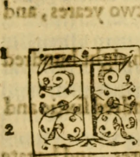 An illustration from A Commentarie of John Calvine upon the first booke of Moses called Genesis, 1578, leaf 160