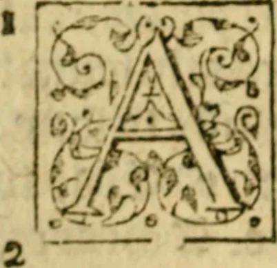 An illustration from A Commentarie of John Calvine upon the first booke of Moses called Genesis, 1578, leaf 313