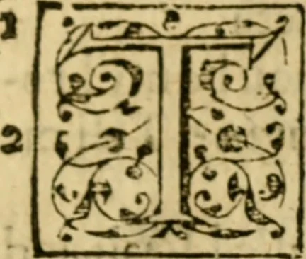 An illustration from A Commentarie of John Calvine upon the first booke of Moses called Genesis, 1578, leaf 610