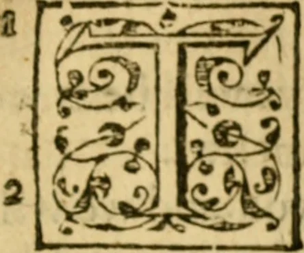 An illustration from A Commentarie of John Calvine upon the first booke of Moses called Genesis, 1578, leaf 694