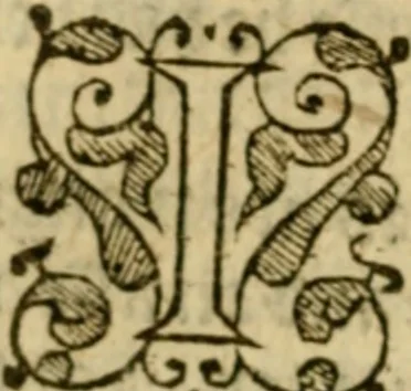 An illustration from A Commentarie of John Calvine upon the first booke of Moses called Genesis, 1578, leaf 731