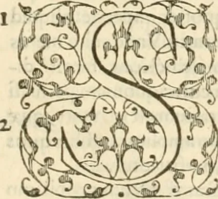 An illustration from Commentarii in Isaiam prophetam, 1570, leaf 569