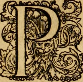 An illustration from ... Commentarii omnes Pauli Apostoli Epistolas, atque etiam in Epistolam ad Hebraeos : adiunximus eiusdem authoris commentarios in omnes Epistolas canonicas, 1600, leaf 135