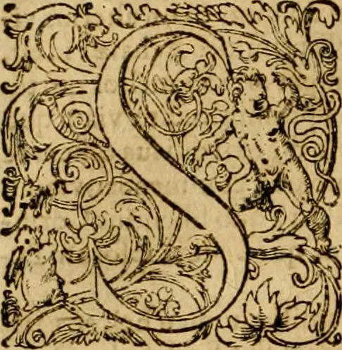 An illustration from ... Commentarii omnes Pauli Apostoli Epistolas, atque etiam in Epistolam ad Hebraeos : adiunximus eiusdem authoris commentarios in omnes Epistolas canonicas, 1600, leaf 249
