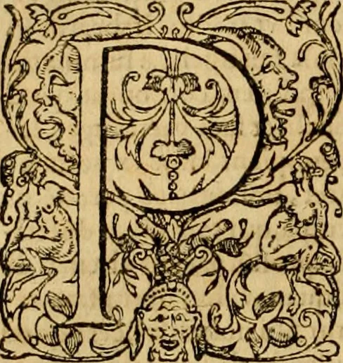 An illustration from ... Commentarii omnes Pauli Apostoli Epistolas, atque etiam in Epistolam ad Hebraeos : adiunximus eiusdem authoris commentarios in omnes Epistolas canonicas, 1600, leaf 251