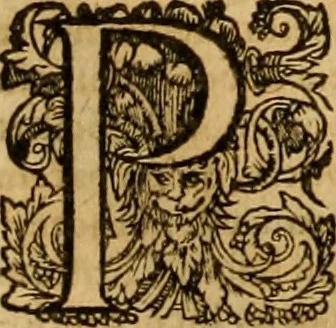 An illustration from ... Commentarii omnes Pauli Apostoli Epistolas, atque etiam in Epistolam ad Hebraeos : adiunximus eiusdem authoris commentarios in omnes Epistolas canonicas, 1600, leaf 401