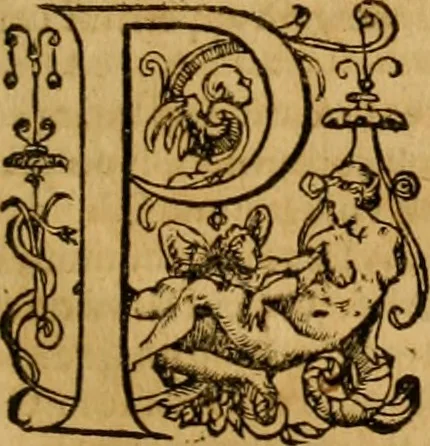 An illustration from ... Commentarii omnes Pauli Apostoli Epistolas, atque etiam in Epistolam ad Hebraeos : adiunximus eiusdem authoris commentarios in omnes Epistolas canonicas, 1600, leaf 428