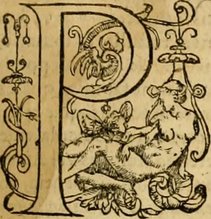 An illustration from ... Commentarii omnes Pauli Apostoli Epistolas, atque etiam in Epistolam ad Hebraeos : adiunximus eiusdem authoris commentarios in omnes Epistolas canonicas, 1600, leaf 486