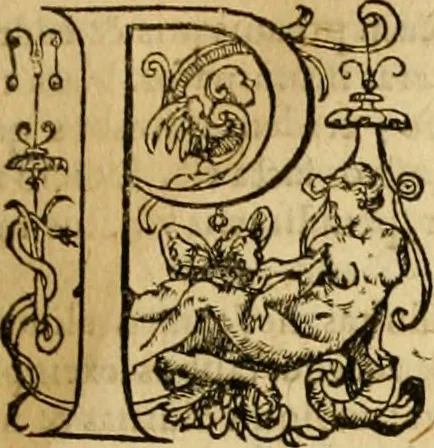An illustration from ... Commentarii omnes Pauli Apostoli Epistolas, atque etiam in Epistolam ad Hebraeos : adiunximus eiusdem authoris commentarios in omnes Epistolas canonicas, 1600, leaf 524