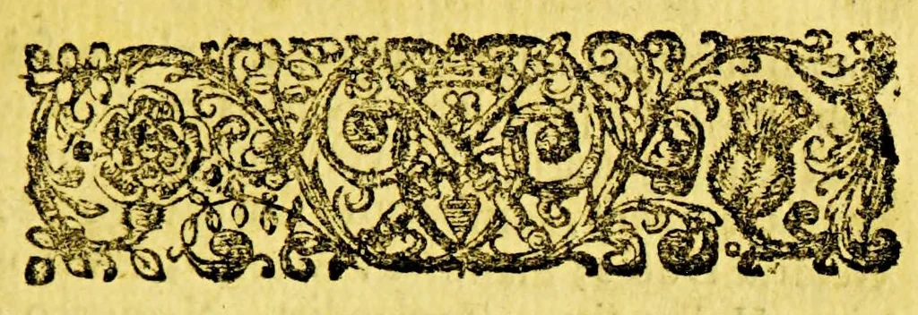 An illustration from Commentariolus de statu confoederatarum provinciarum Belgii, 1659, leaf 163