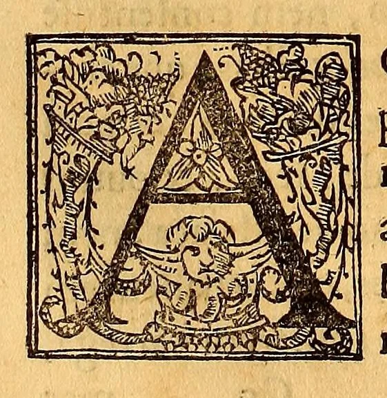 An illustration from Commentarios do grande Afonso Dalboquerque, capitam geral que foy das Indias Orientaes, : em tempo do muito poderoso Rey Dom Manuel, o primeiro deste nome., 1576, leaf 410