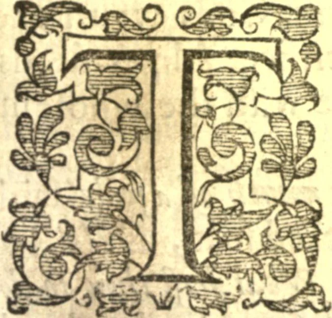 An illustration from The retvrning backslider; or, A commentarie upon the whole XIIII. chapter of the prophecy of the Prophet Hosea, 1641, leaf 72
