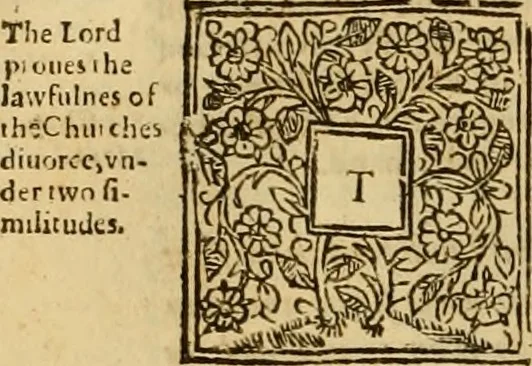 An illustration from A commentary upon the prophecie of Isaiah : whereunto are added foure tables ..., 1609, leaf 555