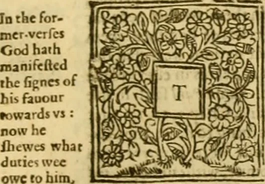 An illustration from A commentary upon the prophecie of Isaiah : whereunto are added foure tables ..., 1609, leaf 602