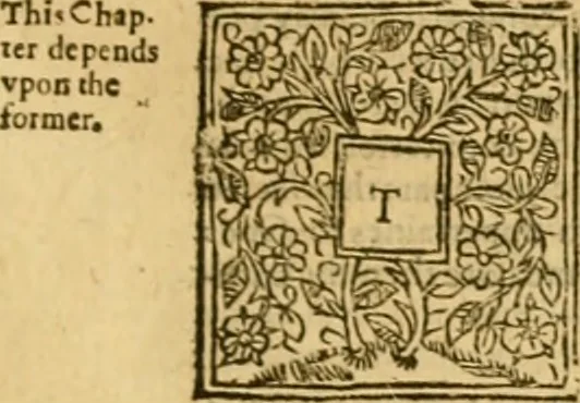 An illustration from A commentary upon the prophecie of Isaiah : whereunto are added foure tables ..., 1609, leaf 620