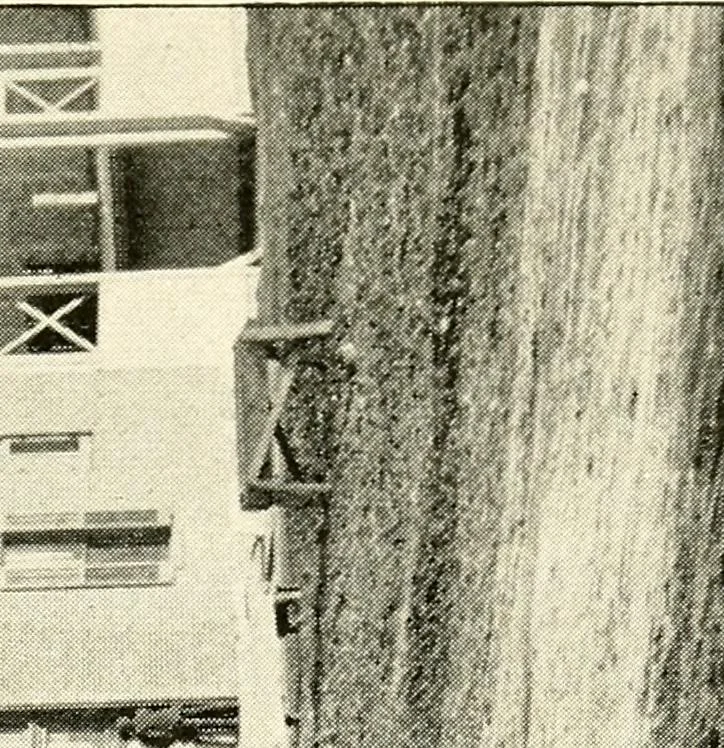 An illustration from Commercial and architectural St. Louis ; illustrated, 1891, leaf 180