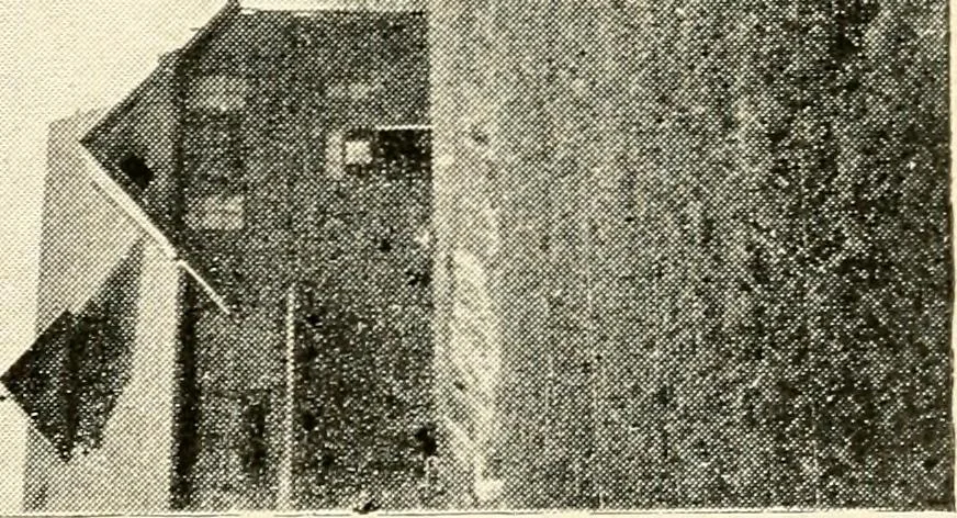 An illustration from Commercial and architectural St. Louis ; illustrated, 1891, leaf 206