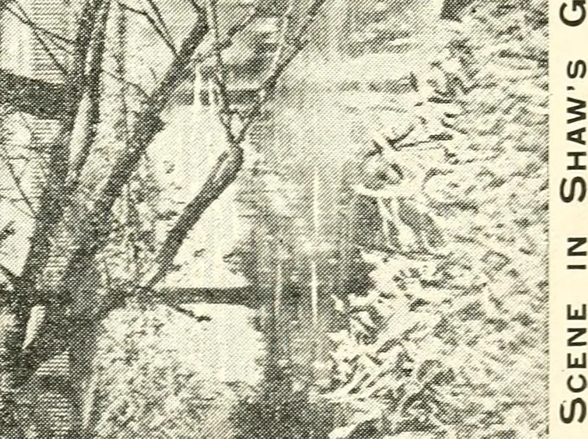 An illustration from Commercial and architectural St. Louis ; illustrated, 1891, leaf 22