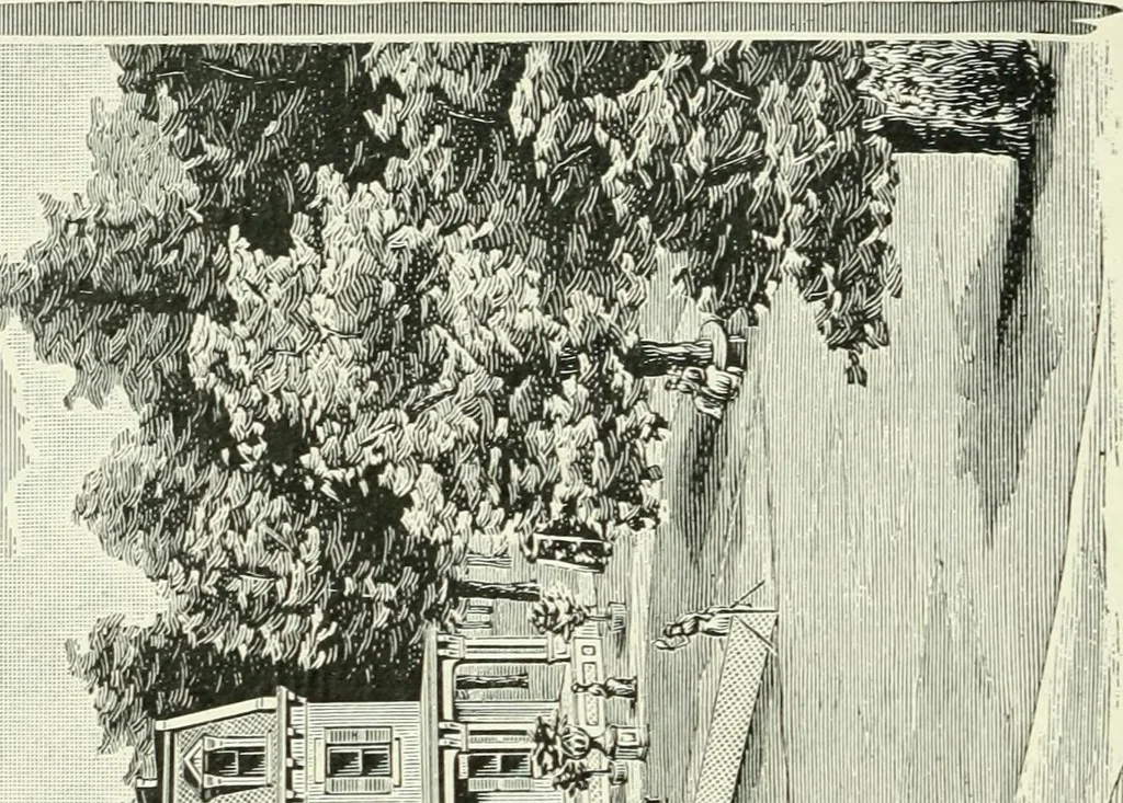 An illustration from Commercial and architectural St. Louis ; illustrated, 1891, leaf 91