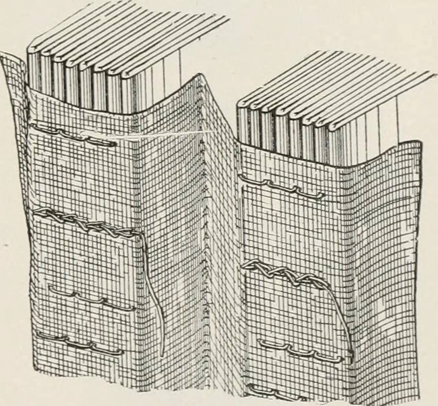 An illustration from Commercial bookbinding; a description of the processes and the various machines used, 1910, leaf 28