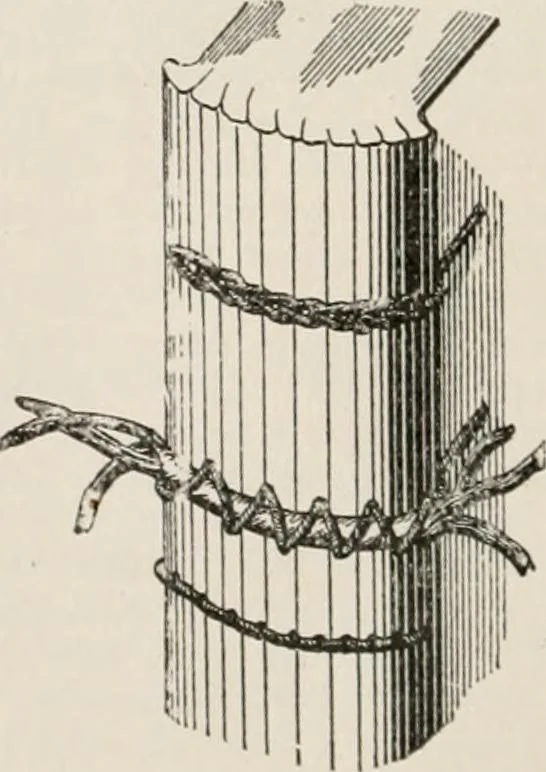 An illustration from Commercial bookbinding; a description of the processes and the various machines used, 1910, leaf 29