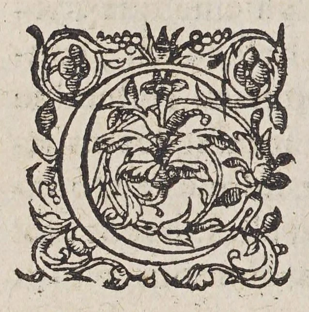 An illustration from Commissions du roy et de monseigneur l'admiral, au sieur de Monts, pour l'habitation és terres de Lacadie Canada, & autres endroits en la Nouuelle France. Ensemble les defenses premieres & secondes à tous autres, de trafiquer auec les sauuages desdites terres. Auec la verification en la cour de Parlement à Paris, 1605, leaf 18