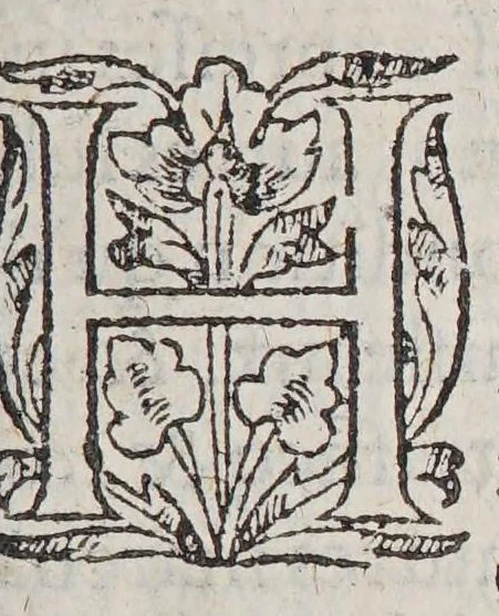An illustration from Commissions du roy et de monseigneur l'admiral, au sieur de Monts, pour l'habitation és terres de Lacadie Canada, & autres endroits en la Nouuelle France. Ensemble les defenses premieres & secondes à tous autres, de trafiquer auec les sauuages desdites terres. Auec la verification en la cour de Parlement à Paris, 1605, leaf 29