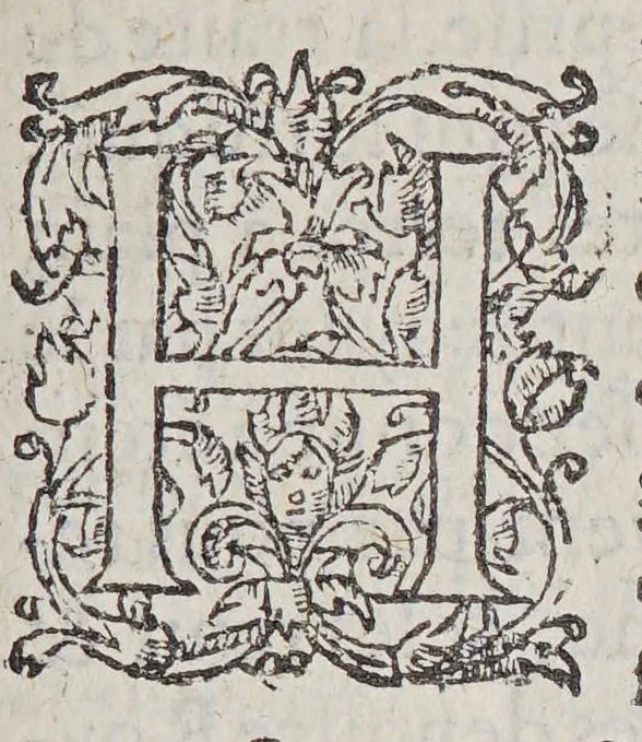 An illustration from Commissions du roy et de monseigneur l'admiral, au sieur de Monts, pour l'habitation és terres de Lacadie Canada, & autres endroits en la Nouuelle France. Ensemble les defenses premieres & secondes à tous autres, de trafiquer auec les sauuages desdites terres. Auec la verification en la cour de Parlement à Paris, 1605, leaf 35
