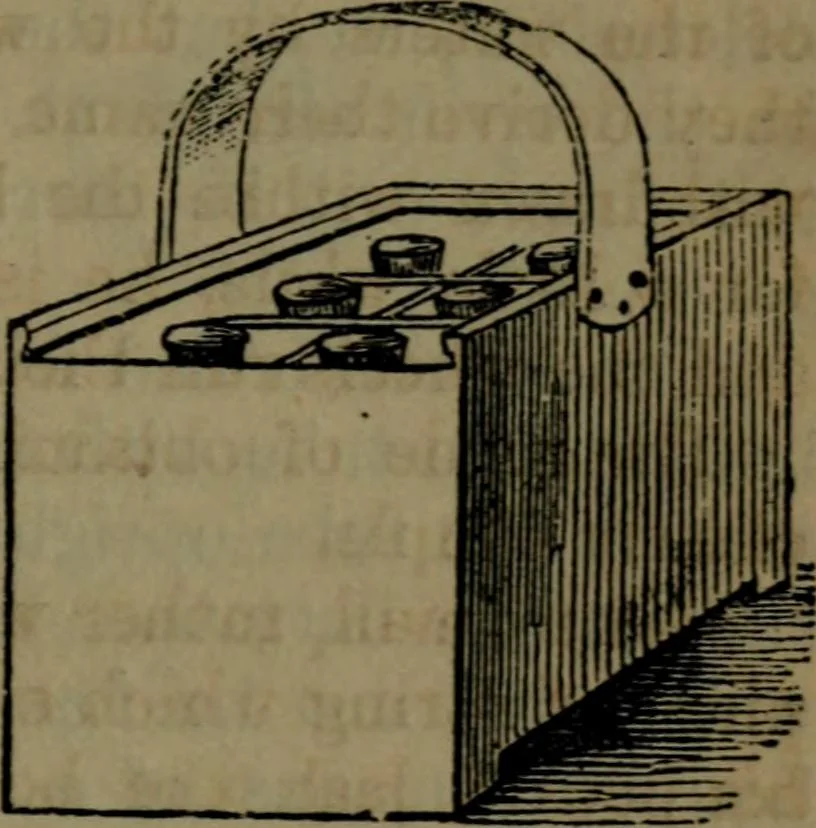 An illustration from Common objects of the microscope, 1861, leaf 128