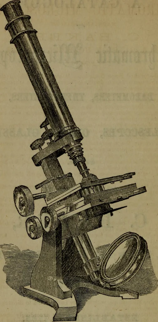 An illustration from Common objects of the microscope, 1861, leaf 167