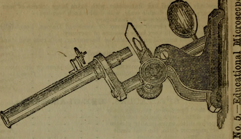 An illustration from Common objects of the microscope, 1861, leaf 173