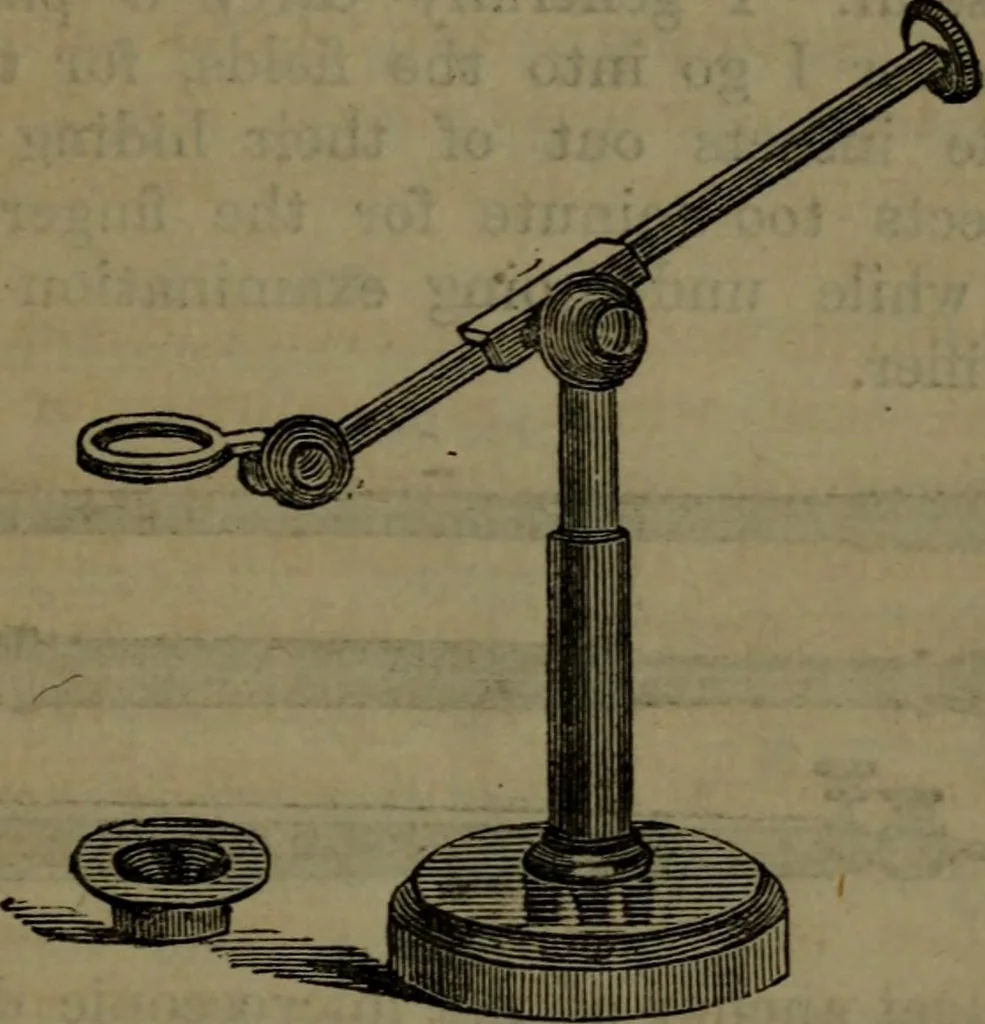 An illustration from Common objects of the microscope, 1861, leaf 22