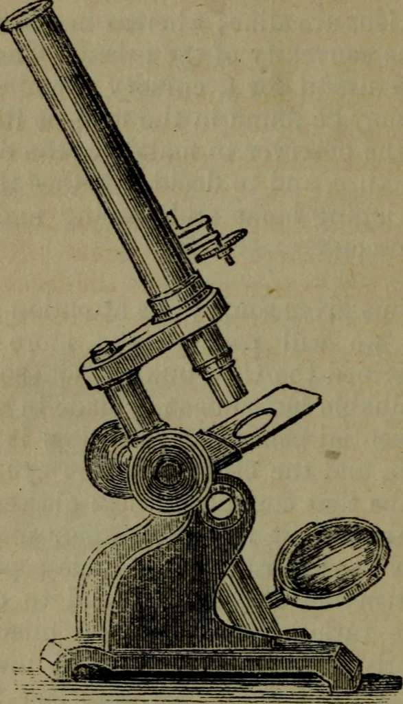 An illustration from Common objects of the microscope, 1861, leaf 31