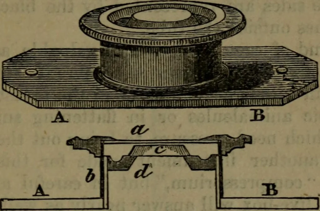 An illustration from Common objects of the microscope, 1861, leaf 34