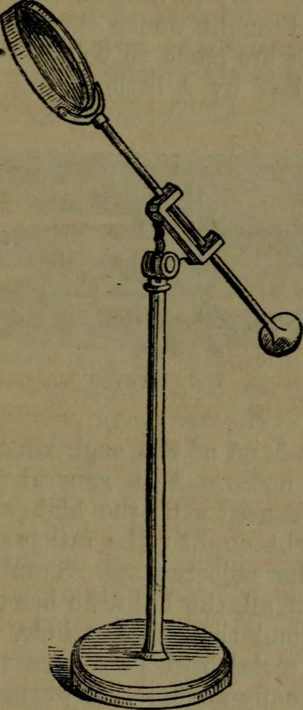An illustration from Common objects of the microscope, 1861, leaf 36