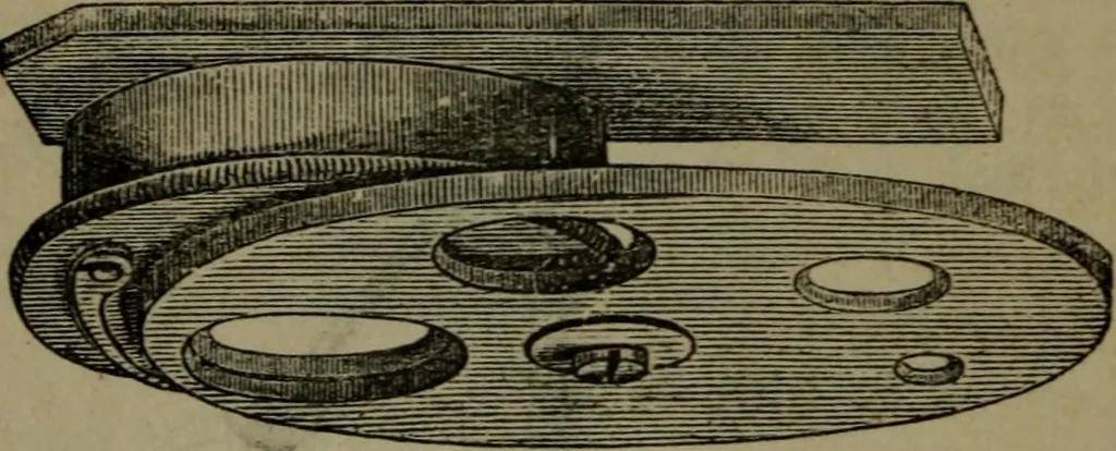 An illustration from Common objects of the microscope, 1861, leaf 37