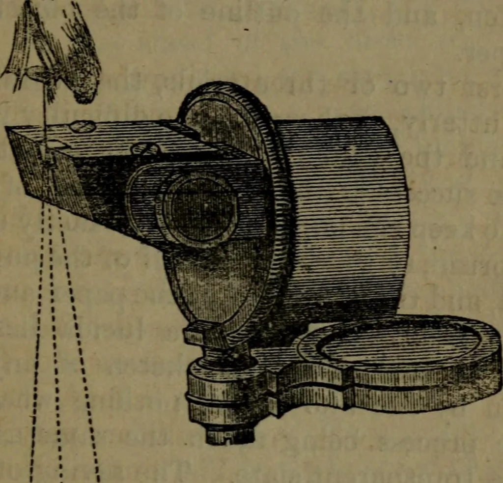An illustration from Common objects of the microscope, 1861, leaf 48