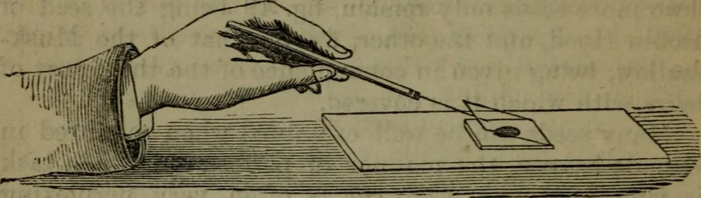 An illustration from Common objects of the microscope, 1861, leaf 73