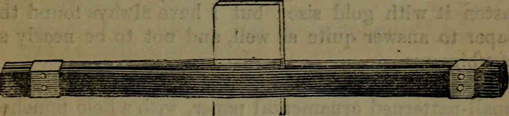 An illustration from Common objects of the microscope, 1861, leaf 74